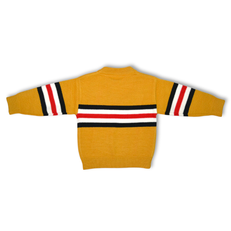 Eder-Kids-Elegant-Stripes-Design-Sweater-For-Boys-2